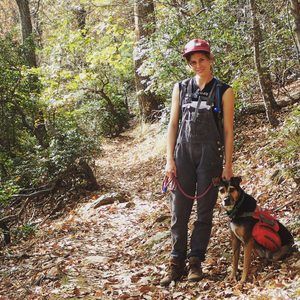 Meet your Posher, Hollis